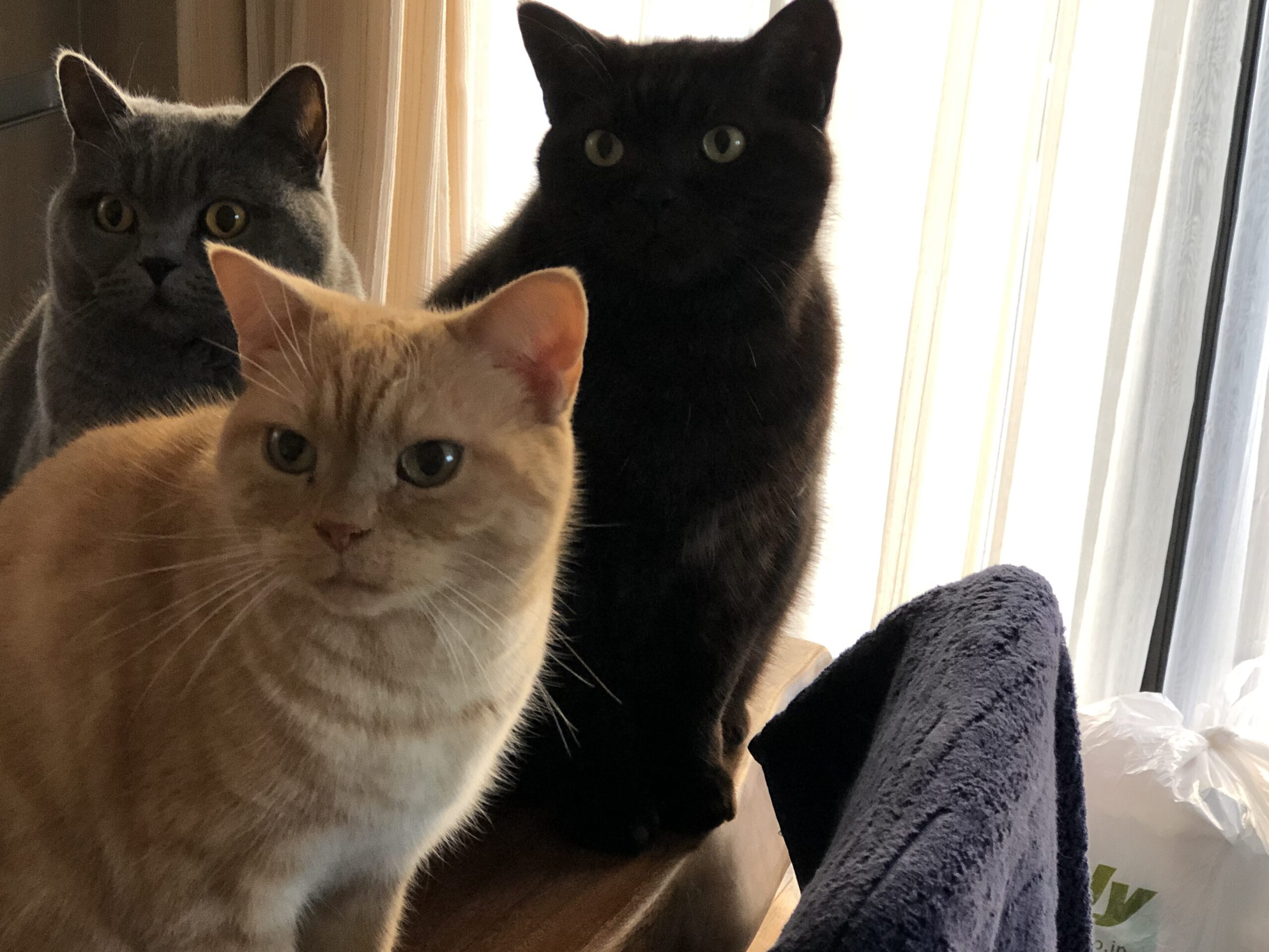 祖師ヶ谷大蔵駅徒歩２分の髪と身体にやさしい美容室loco Loco Hair Beauty Homepage